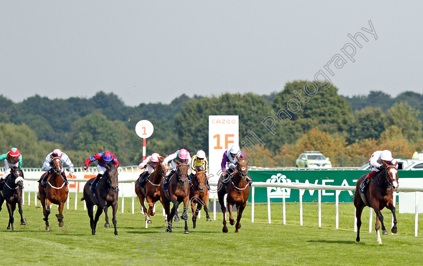 Free-Wind-0001 
 FREE WIND (Frankie Dettori) wins The Hippo Pro3 Park Hill Stakes
Doncaster 9 Sep 2021 - Pic Steven Cargill / Racingfotos.com