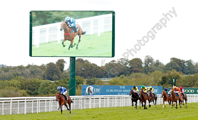 Modmin-0001 
 MODMIN (Jim Crowley) wins The Ladbrokes Supporting Children With Cancer UK Novice Stakes - Jim Crowley's 2000th winner in the UK
Goodwood 30 Aug 2020 - Pic Steven Cargill / Racingfotos.com