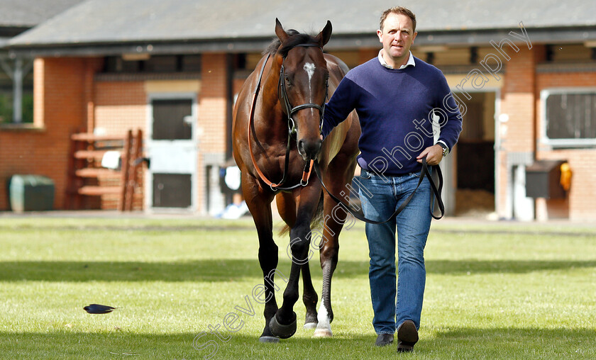 Blue-Point-0005 
 BLUE POINT and Charlie Appleby
Moulton Paddocks, Newmarket 28 Jun 2019 - Pic Steven Cargill / Racingfotos.com