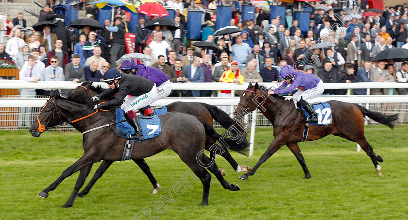 Magical-Max-0004 
 MAGICAL MAX (Andrew Mullen) wins The Reg Griffin Appreciation EBFstallions.com Maiden Stakes
York 15 Jun 2019 - Pic Steven Cargill / Racingfotos.com