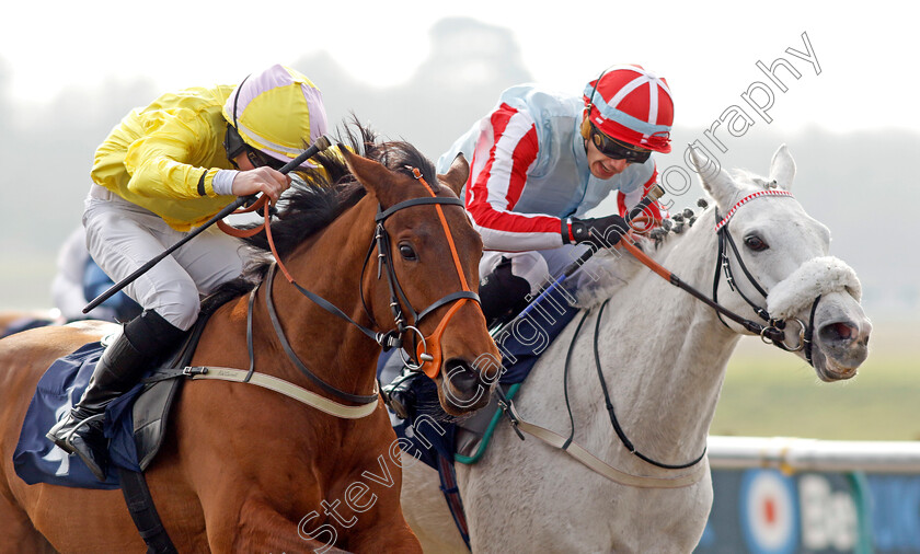 Tortured-Soul-0001 
 TORTURED SOUL (left, Jack Doughty) beats RESTORER (right, Andrea Pinna) in The Build You Acca With Betuk Hands And Heels Apprentice Handicap
Lingfield 7 Mar 2024 - Pic Steven Cargill / Racingfotos.com