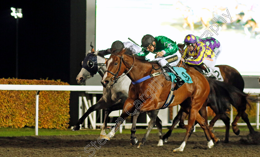 Miss-Bella-Brand-0002 
 MISS BELLA BRAND (George Wood) wins The Try Unibet's Improved Bet Builder Fillies Handicap
Kempton 15 Nov 2023 - Pic Steven Cargill / Racingfotos.com