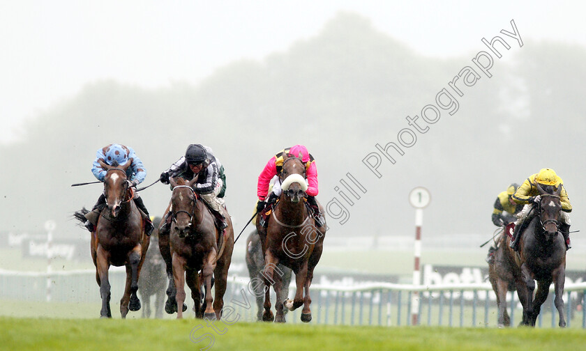 La-Voix-Magique-0001 
 LA VOIX MAGIQUE (2nd left, Franny Norton) beats CONGA (centre) in The Betway British EBF Fillies Novice Stakes Div2
Haydock 27 Apr 2019 - Pic Steven Cargill / Racingfotos.com