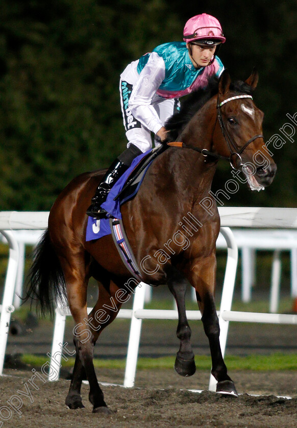 Breath-Caught-0001 
 BREATH CAUGHT (Harry Bentley) before The 32Red Casino Handicap
Kempton 27 Sep 2018 - Pic Steven Cargill / Racingfotos.com