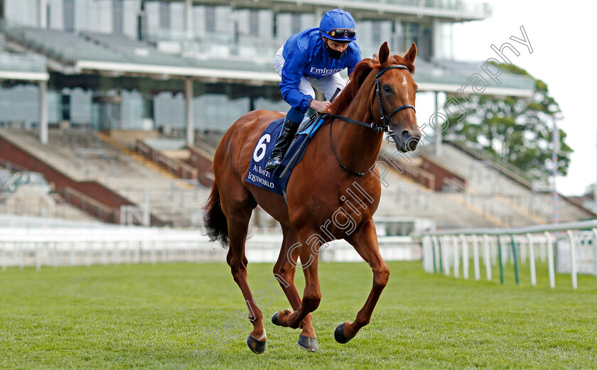 Hurricane-Lane-0001 
 HURRICANE LANE (William Buick) winner of The Al Basti Equiworld Dubai Dante Stakes
York 13 May 2021 - Pic Steven Cargill / Racingfotos.com