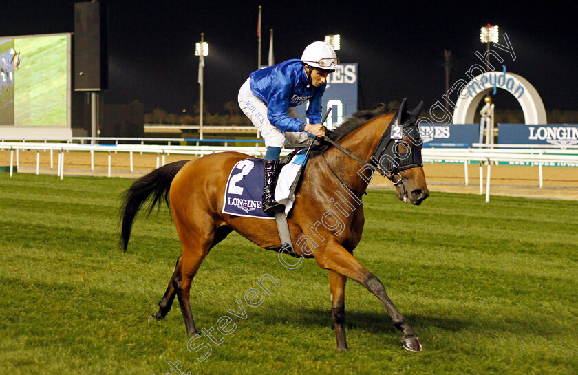 Creative-Flair-0001 
 CREATIVE FLAIR (William Buick) winner of The Balanchine Stakes
Meydan, 4 Feb 2022 - Pic Steven Cargill / Racingfotos.com