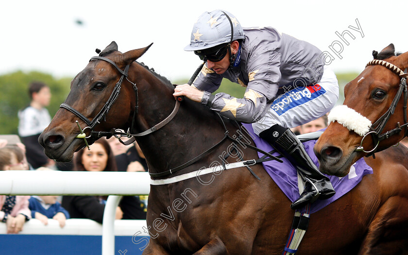 Gabrial-The-Tiger-0004 
 GABRIAL THE TIGER (Paul Hanagan) wins The Very Happy Retirement Bill Gray Handicap Div1
Beverley 29 May 2019 - Pic Steven Cargill / Racingfotos.com