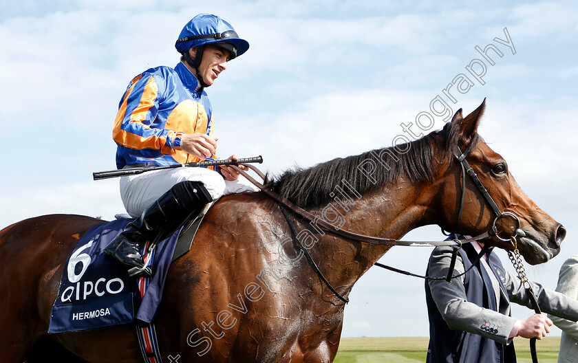 Hermosa-0013 
 HERMOSA (Wayne Lordan) after The Qipco 1000 Guineas Stakes
Newmarket 5 May 2019 - Pic Steven Cargill / Racingfotos.com