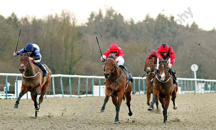 Photosynthesis-0003 
 PHOTOSYNTHESIS (centre, Jack Mitchell) beats MEDIA SHOOTER (left) and ROMAN EMPEROR (right) in The Boost Your Acca At Betmgm Handicap
Lingfield 20 Jan 2024 - Pic Steven Cargill / Racingfotos.com