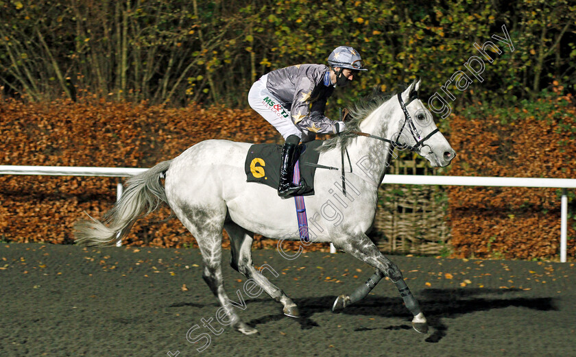 Brian-The-Snail-0001 
 BRIAN THE SNAIL (Jack Garritty) winner of The Unibet 3 Uniboosts A Day Handicap
Kempton 2 Dec 2020 - Pic Steven Cargill / Racingfotos.com