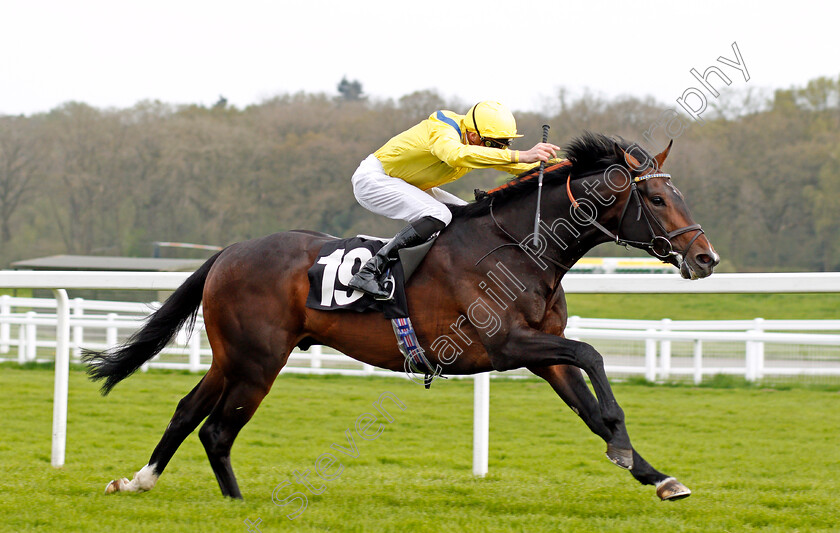 Young-Rascal-0004 
 YOUNG RASCAL (James Doyle) wins The Carter Jonas Maiden Stakes Newbury 21 Apr 2018 - Pic Steven Cargill / Racingfotos.com