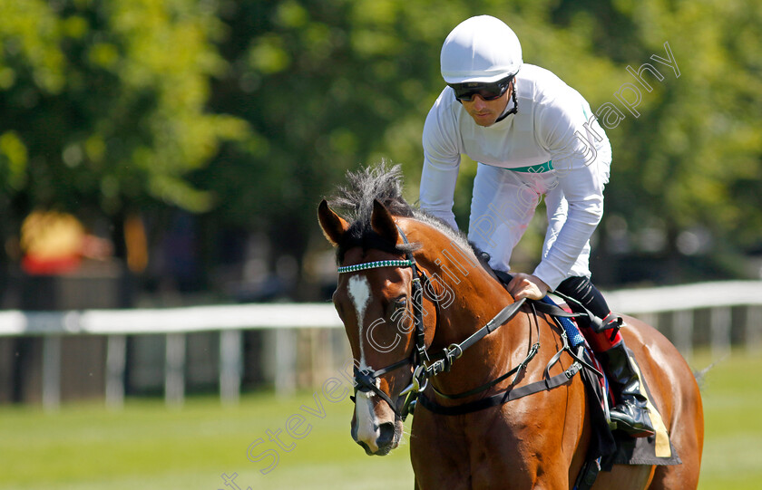 Epictetus-0001 
 EPICTETUS (Martin Harley) winner of The Weatherbys British EBF Maiden Stakes
Newmarket 8 Jul 2022 - Pic Steven Cargill / Racingfotos.com