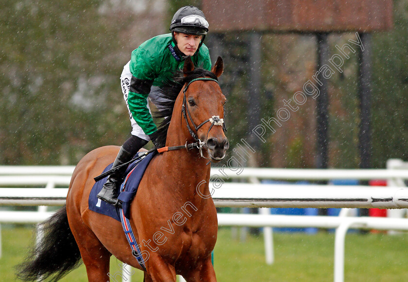 Kachy-0002 
 KACHY (Richard Kingscote) winner of The Betway Cleves Stakes Lingfield 3 Feb 2018 - Pic Steven Cargill / Racingfotos.com