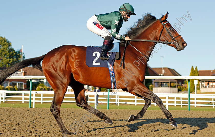 Faisal-0002 
 FAISAL (Hollie Doyle) before winning The Betway Maiden Stakes Div2
Lingfield 4 Aug 2020 - Pic Steven Cargill / Racingfotos.com