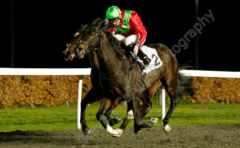 Holy-Heart-0003 
 HOLY HEART (Robert Havlin) wins The 100% Profit Boost At 32redsport.com Novice Stakes
Kempton 12 Dec 2018 - Pic Steven Cargill / Racingfotos.com