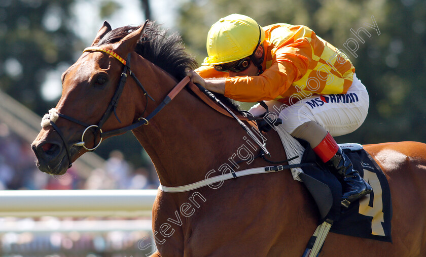 Second-Step-0006 
 SECOND STEP (Andrea Atzeni) wins The Betway Fred Archer Stakes
Newmarket 30 Jun 2018 - Pic Steven Cargill / Racingfotos.com