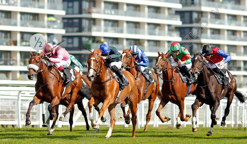 Mirage-Mac-0001 
 MIRAGE MAC (centre, James Doyle) beats SCOOP (left) and DARK MOTIVE (right) in The Racing TV Novice Median Auction Stakes
Newbury 18 Sep 2020 - Pic Steven Cargill / Racingfotos.com