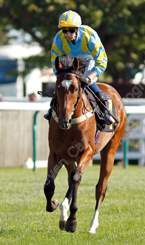 Tezees-0001 
 TEZEES (Joey Haynes)
Newmarket 24 Sep 2021 - Pic Steven Cargill / Racingfotos.com