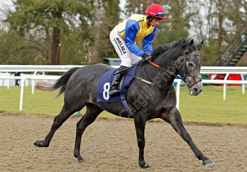 Maratha-0001 
 MARATHA (Sean Levey) Lingfield 13 Dec 2017 - Pic Steven Cargill / Racingfotos.com