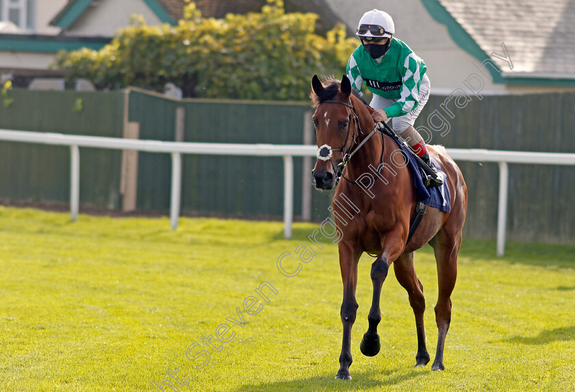 Ms-Gandhi-0001 
 MS GANDHI (Andrea Atzeni)
Yarmouth 20 Oct 2020 - Pic Steven Cargill / Racingfotos.com