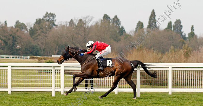 Rathlin-Rose-0007 
 RATHLIN ROSE (Tom Scudamore) wins The Grandnational.fans Veterans' Handicap Chase Ascot 25 Mar 2018 - Pic Steven Cargill / Racingfotos.com