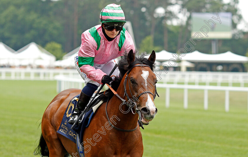 King-Of-Speed-0001 
 KING OF SPEED (Hollie Doyle)
Ascot 17 Jun 2021 - Pic Steven Cargill / Racingfotos.com