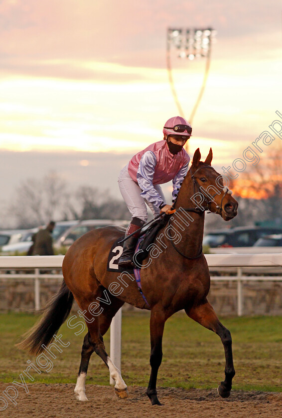 Footstepsonthemoon-0001 
 FOOTSTEPSONTHEMOON (Laura Pearson)
Chelmsford 26 Nov 2020 - Pic Steven Cargill / Racingfotos.com