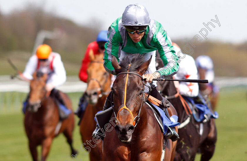 King-Of-Change-0005 
 KING OF CHANGE (Sean Levey) wins The Introducing Racing TV Novice Stakes
Nottingham 10 Apr 2019 - Pic Steven Cargill / Racingfotos.com