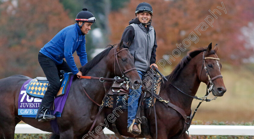 Cave-Rock-0001 
 CAVE ROCK training for the Breeders' Cup Juvenile
Keeneland, USA 31 Oct 2022 - Pic Steven Cargill / Racingfotos.com