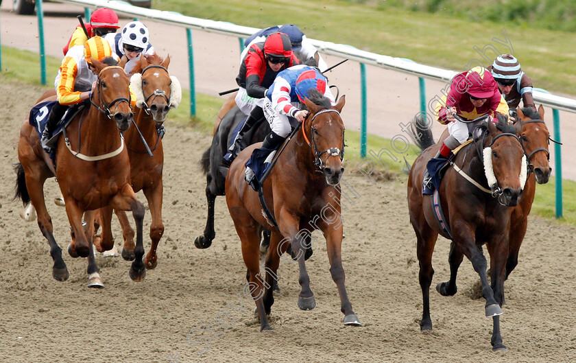 Executive-Force-0002 
 EXECUTIVE FORCE (right, Franny Norton) beats SHA LA LA LA LEE (centre) in The Sun Racing No1 Racing Site Handicap
Lingfield 23 Mar 2019 - Pic Steven Cargill / Racingfotos.com