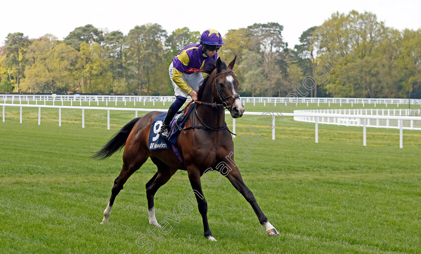 Fantasy-Believer-0001 
 FANTASY BELIEVER (Callum Hutchinson)
Ascot 3 May 2023 - Pic Steven Cargill / Racingfotos.com