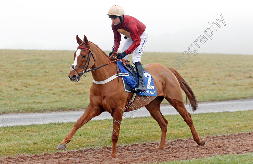 Whatswrongwithyou-0003 
 WHATSWRONGWITHYOU (Jeremiah McGrath)
Chepstow 27 Dec 2019 - Pic Steven Cargill / Racingfotos.com