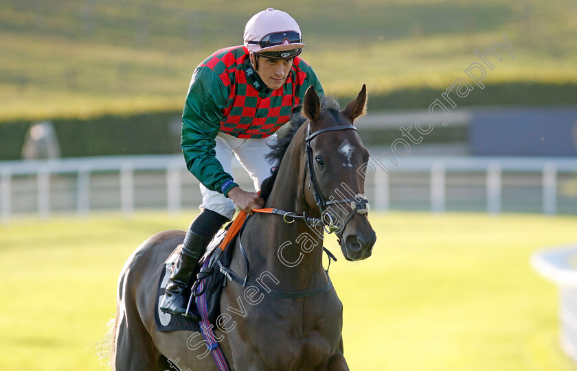 Mountain-Queen-0002 
 MOUNTAIN QUEEN (Pierre-Louis Jamin)
Goodwood 26 Aug 2022 - Pic Steven Cargill / Racingfotos.com