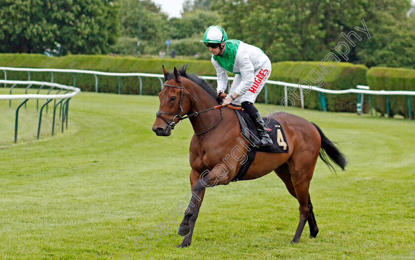 Al-Muzn-0001 
 AL MUZN (Jack Mitchell)
Nottingham 30 May 2023 - Pic Steven Cargill / Racingfotos.com