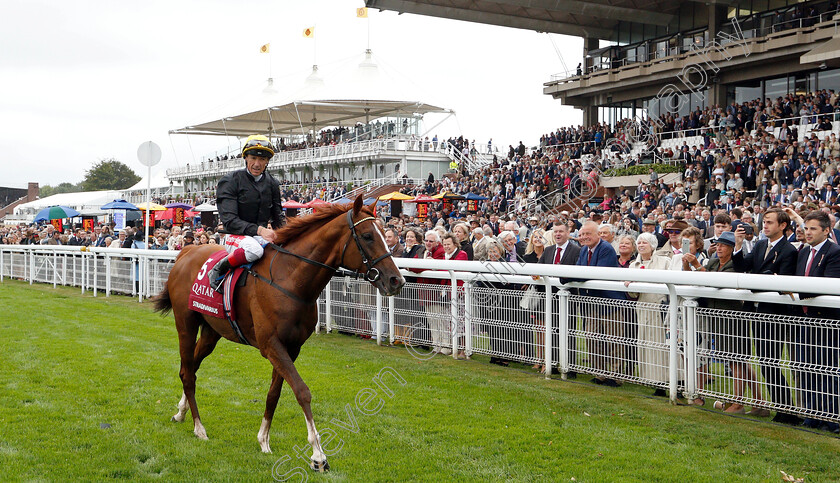 Stradivarius-0010 
 STRADIVARIUS (Frankie Dettori) after The Qatar Goodwood Cup
Goodwood 30 Jul 2019 - Pic Steven Cargill / Racingfotos.com