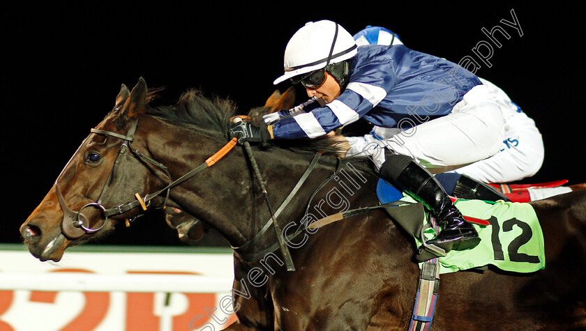 Bird-For-Life-0003 
 BIRD FOR LIFE (Nicola Currie) wins The Racing UK HD Handicap Kempton 8 Nov 2017 - Pic Steven Cargill / Racingfotos.com