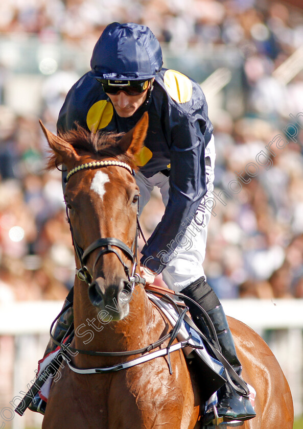 Dramatic-Queen-0001 
 DRAMATIC QUEEN (Daniel Tudhope)
York 24 Aug 2019 - Pic Steven Cargill / Racingfotos.com