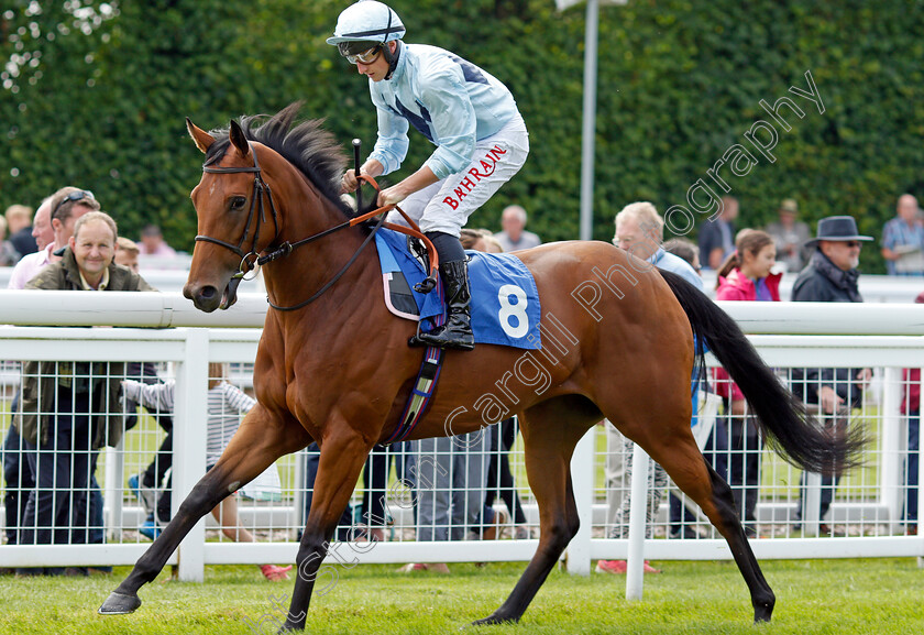 Peintre-D Etoiles-0001 
 PEINTRE D'ETOILES (Tom Marquand)
Salisbury 12 Aug 2021 - Pic Steven Cargill / Racingfotos.com