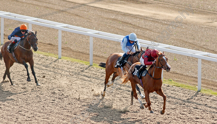 Sheila-0001 
 SHEILA (James Doyle) wins The tote.co.uk Free Streaming Every Uk Race Handicap Div2
Chelmsford 20 Sep 2020 - Pic Steven Cargill / Racingfotos.com