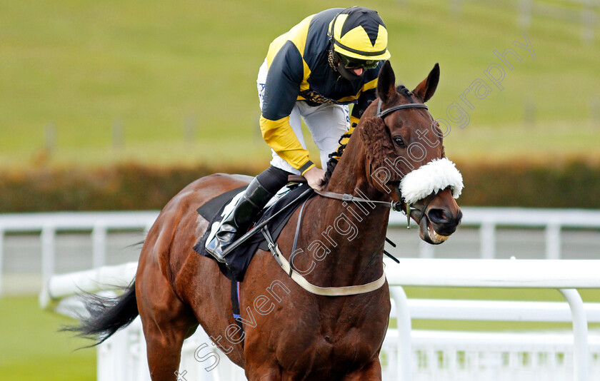 Darksideoftarnside-0001 
 DARKSIDEOFTARNSIDE (Tom Marquand)
Goodwood 11 Oct 2020 - Pic Steven Cargill / Racingfotos.com