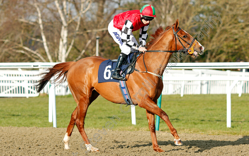 Prince-Rock-0001 
 PRINCE ROCK (Luke Morris)
Lingfield 9 Mar 2022 - Pic Steven Cargill / Racingfotos.com