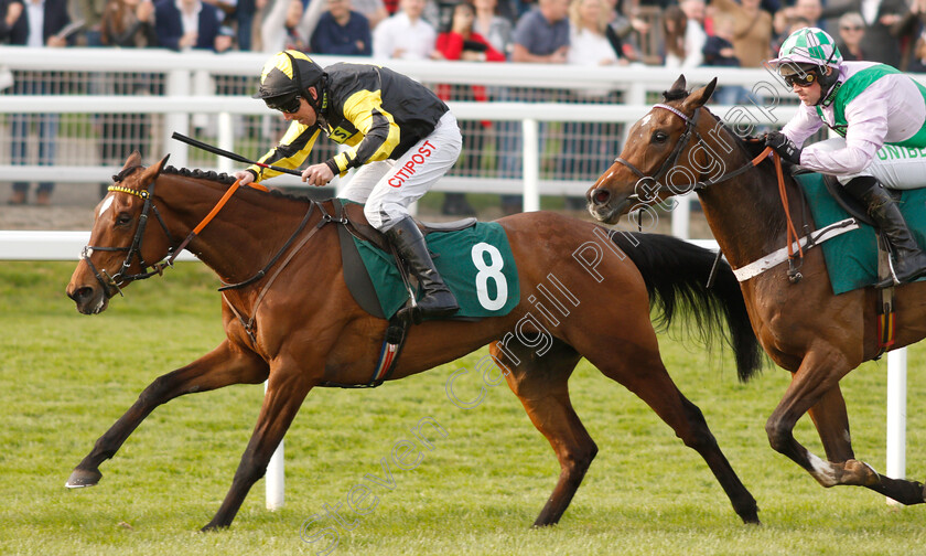 Mystic-Dreamer-0006 
 MYSTIC DREAMER (Leighton Aspell) wins The Spreadex Sports Betting Mares Standard Open National Hunt Flat Race
Cheltenham 18 Apr 2019 - Pic Steven Cargill / Racingfotos.com