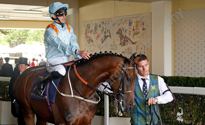 Lazy-Griff-0001 
 LAZY GRIFF (James Doyle)
Royal Ascot 22 Jun 2024 - Pic Steven Cargill / Racingfotos.com