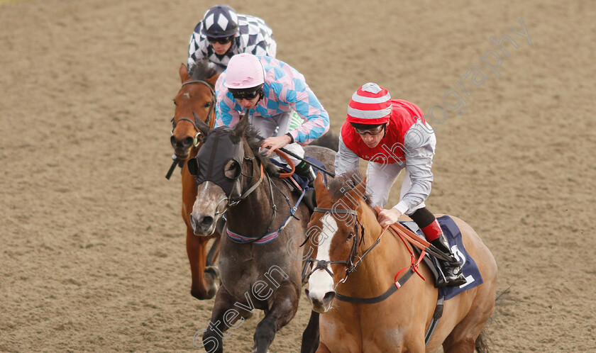 Sandfrankskipsgo-0006 
 SANDFRANKSKIPSGO (Shane Kelly) wins The Betway Handicap
Lingfield 18 Jan 2019 - Pic Steven Cargill / Racingfotos.com