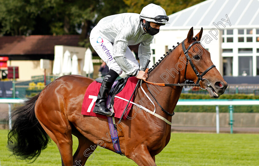 Trumpet-Man-0001 
 TRUMPET MAN (P J McDonald)
Haydock 4 Sep 2020 - Pic Steven Cargill / Racingfotos.com