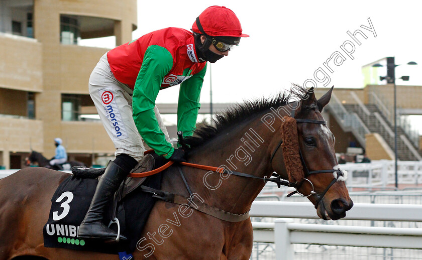 Sir-Psycho-0001 
 SIR PSYCHO (Bryony Frost)
Cheltenham 15 Nov 2020 - Pic Steven Cargill / Racingfotos.com