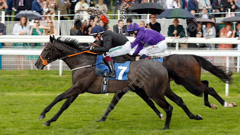 Magical-Max-0007 
 MAGICAL MAX (Andrew Mullen) wins The Reg Griffin Appreciation EBFstallions.com Maiden Stakes
York 15 Jun 2019 - Pic Steven Cargill / Racingfotos.com