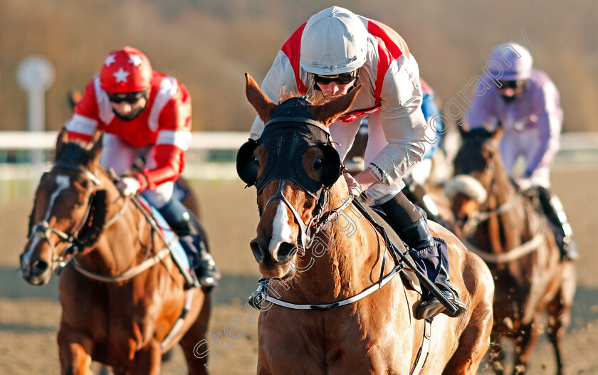 Rivas-Rob-Roy-0005 
 RIVAS ROB ROY (Kieran Shoemark) wins The Bombardier British Hopped Amber Beer Handicap Div2
Lingfield 26 Feb 2021 - Pic Steven Cargill / Racingfotos.com