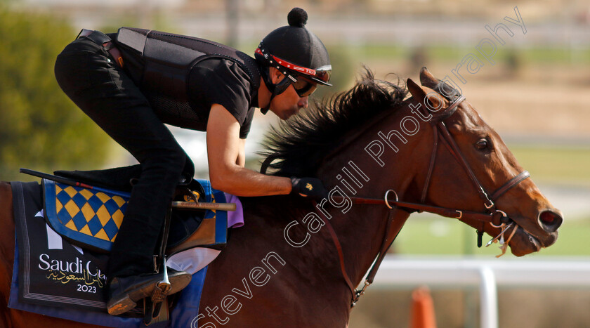 Havnameltdown-0002 
 HAVNAMELTDOWN training for The Saudi Derby
King Abdulaziz Racecourse, Kingdom Of Saudi Arabia, 23 Feb 2023 - Pic Steven Cargill / Racingfotos.com