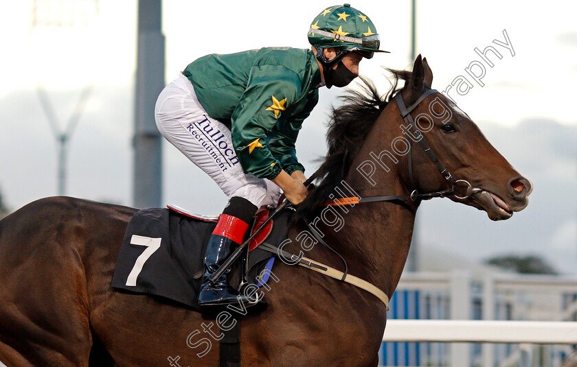 Mr-Ryder-0001 
 MR RYDER (Cieren Fallon)
Chlmsford 15 Oct 2020 - Pic Steven Cargill / Racingfotos.com